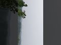 my