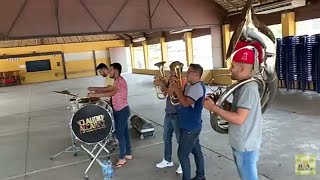 Claudio Alcaraz - un idiota (ensayo)