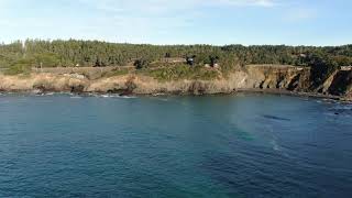 Mendocino Coast 1-1-2019 DJI 0813