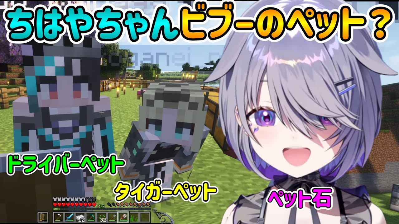 【Minecraft】FLOW GLOWを次々とペットにするビブー【古石ビジュー/輪堂千速/͡虎金妃笑虎/赤井はあと/白銀ノエル/天音かなた/ホロライブ切り抜き】