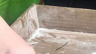 How to make silicone hands with an armature