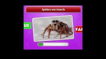 Animal Myths Busted- or Confirmed? True or False Quiz 34