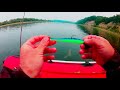 ЩУКА СОШЛА С УМА. ЛОВЛЯ В ИЮЛЕ В САМУЮ ЖАРУ.  THE PIKE WENT CRAZY. FISHING IN JULY IN THE HEAT.