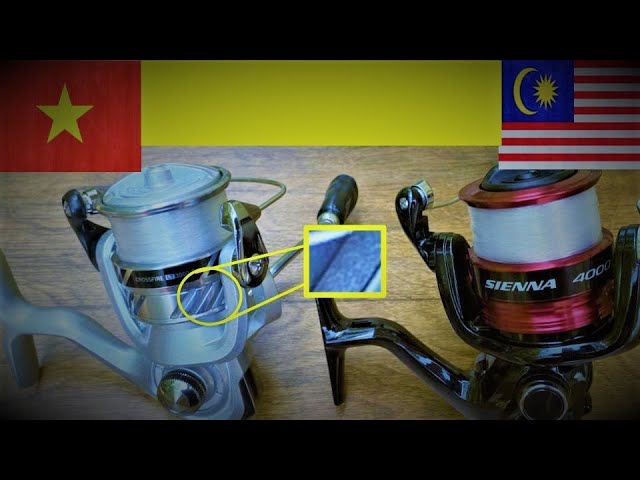 Daiwa Vs. Shimano - $30 Reel Comparison 