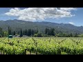 May 2024 Del Dotto Estates Winery May 2024 Del Dotto Estates Winery