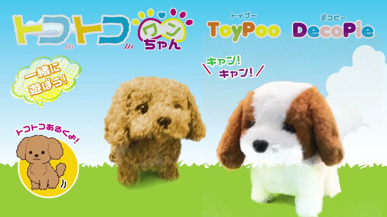 トコトコわんちゃん紹介動画 - YouTube