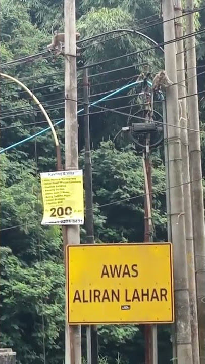 penunggu curug cimahi