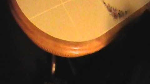 Clicker Training a Pit Bull Puppy