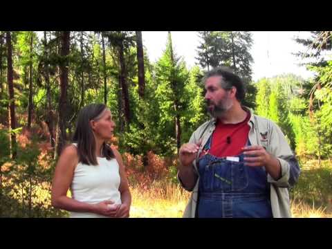 Rocket Mass heater and stoves with Paul Wheaton - YouTube