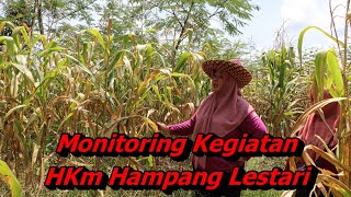 Monitoring Kegiatan HKm Hampang Lestari Desa Hampang Kecamatan Hampang Kabupaten Kotabaru