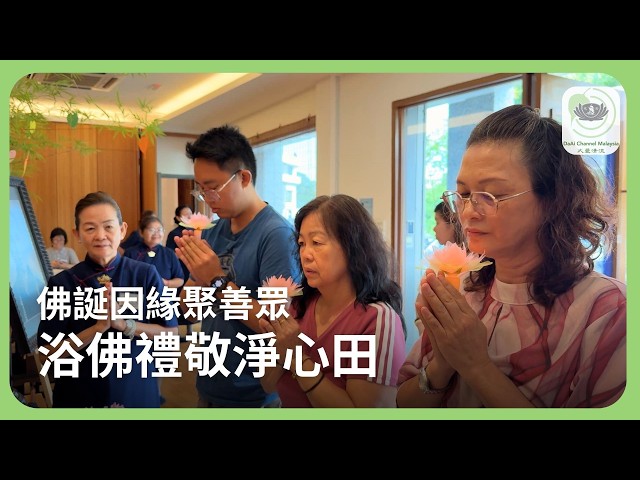 佛誕因緣聚善眾 浴佛禮敬淨心田 | 新聞 @daaichannelmalaysiachn