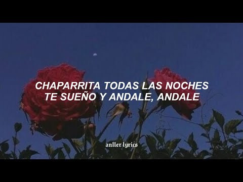 si supieras chaparrita cuanto te amo [Letra]