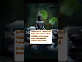 புத்தர் பொன்மொழிகள் 💯 / #shorts / #quotes / #lifequotes / #motivational  #தமிழ்247ej