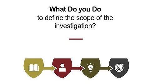 WDIDI I need to define the scope of the investigation Lynch Law Firm Workplace Investigation Austin