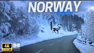 Snowy Norwegian Roads: A Winter Wonderland Expedition 4K