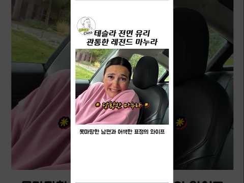 테슬라 전면 유리 관통시키는 레전드 마누라 thumbnail