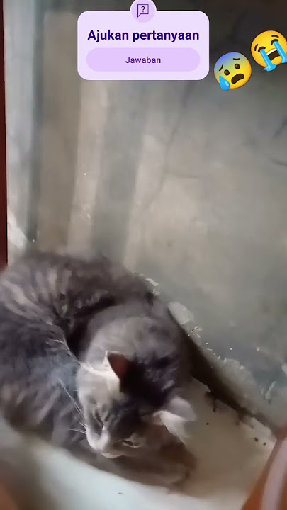 fjushslehwkgenejegekwfekgejehefkakautqkwgicskwgwi😰