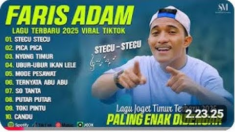 Faris Adam - STECU (Lirik) | Juan Reza - PICA PICA | NYONG TIMUR || LAGU POP TIMUR VIRAL TIKTOK 2025