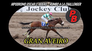 GRAN AVEIRO (HANDICAP UTTA) Hipódromo San Francisco (17-11-20)
