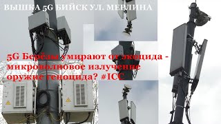 Вносимо содо і перша білкова пауза - 14 