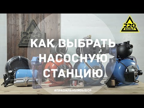 Video: Kako Odabrati Kokoš Nesilicu