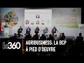 Agribusiness la banque populaire mobilise pour soutenir les professionnels