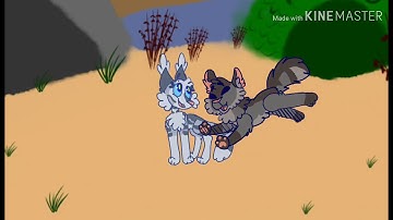 When you accidentally delete your video (Feathertail MAP part 5)