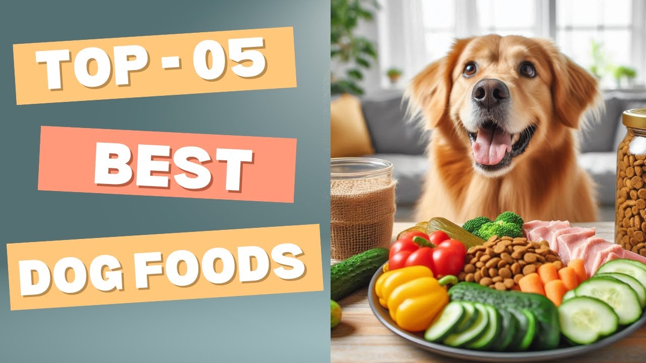 Best Dog Foods. 