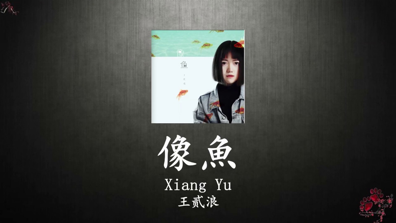 เพลงจีนแปลไทย 像鱼【Xiang Yu】【 王貳浪】แปลไทย+ซับไทย+Pinyin