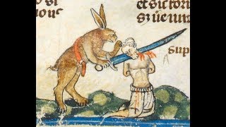 The Rabbits Hole - Part 2