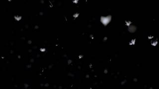 feathers falling