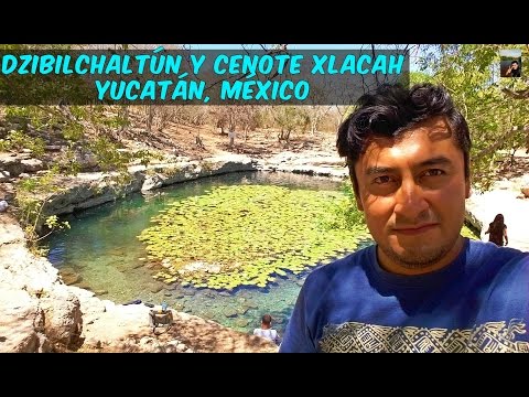 DZIBILCHALTUN Y CENOTE XLACAH, Yucatán México (Full HD)
