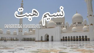 Lirik NASEEM HABBAT   ||  كلمات الاغنية - نسيم هبت