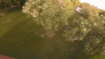 Ethix S3 Props - Final Impressions After 20+ Packs