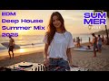 Summer's Pulse |  EDM House Chillout • LoFi Party | Electronic Music 2025