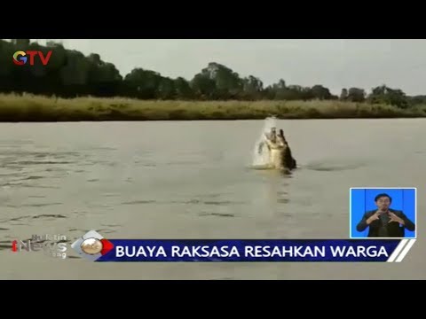 Warga Ogan Komering Ilir Resah Munculnya 2 Buaya Besar di Sungai - BIS 09/11