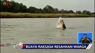 Warga Ogan Komering Ilir Resah Munculnya 2 Buaya Besar Di Sungai - Bis 0911