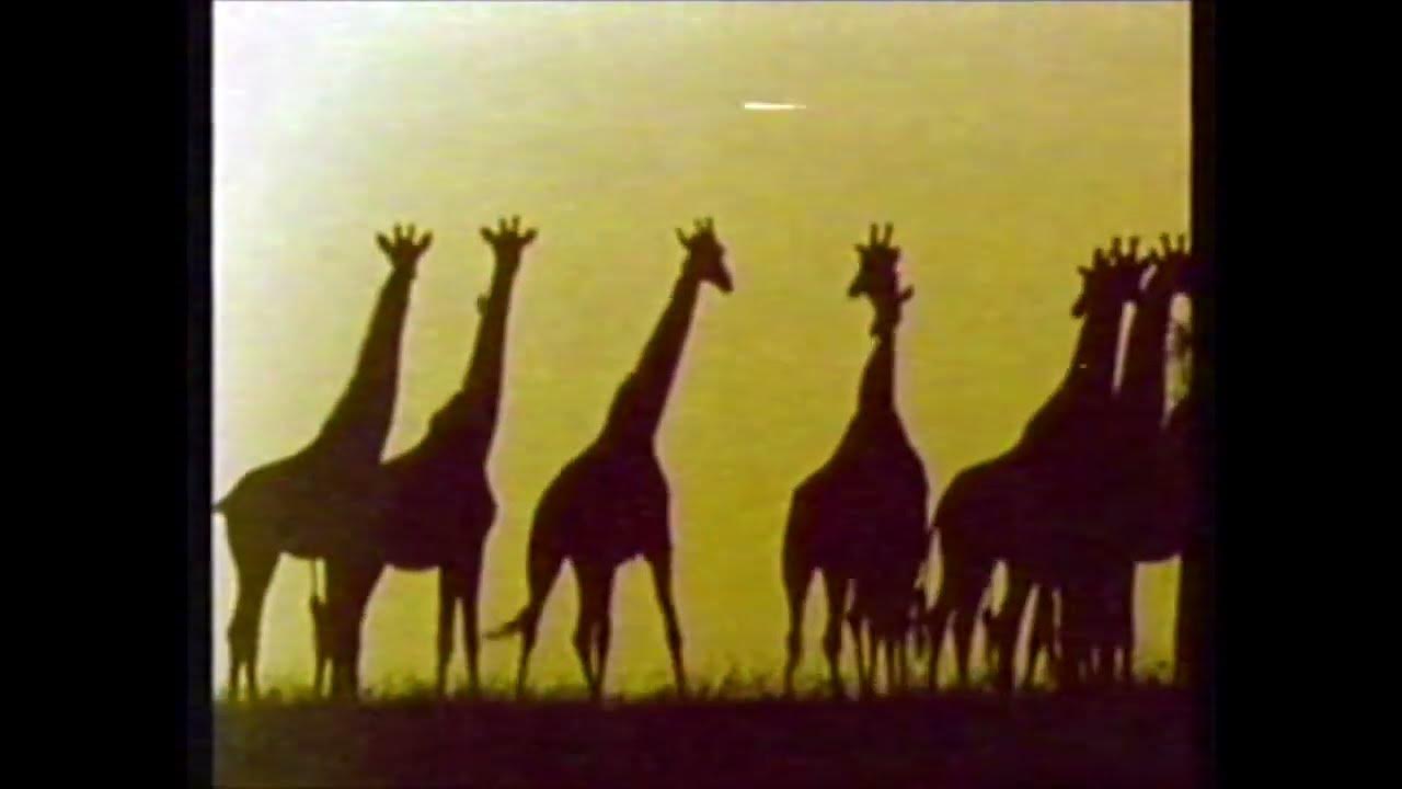 Chuck Person s Eccojams A1 Remastered Music Video YouTube chuck-person-s-eccojams-a1-remastered-music-video-youtube