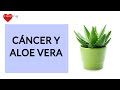 Aloe vera y cáncer