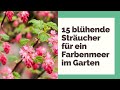 15 blühende Sträucher für ein Farbenmeer im Garten