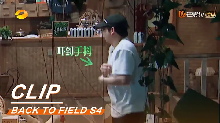 Peng Yuchang is actually afraid of butterflies and bugs!《向往的生活4》Back to field S4 EP4【MGTV English】 - DayDayNews