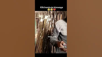 Sidi Kama Side Comedy Funny 