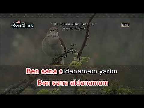 AĞLATAN TÜRKÜ 1 - Bülbülüm Altın Kafeste KARAOKE (FULL HD Profesyonel Karaoke)