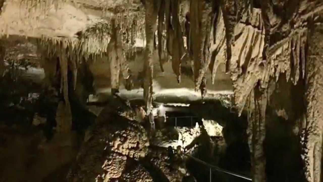 mammoth cave latino personals Humans don't seem particularly tough compared to other animals, but looks can be deceiving a new study highlights one of humanity's strongest qualities: that the species is ecologically unique in its ability to occupy, and specialize in, a variety of different environments other animals are . mammoth cave latino personals Humans don't seem particularly tough compared to other animals, but looks can be deceiving a new study highlights one of humanity's strongest qualities: that the species is ecologically unique in its ability to occupy, and specialize in, a variety of different environments other animals are .