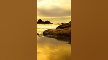 سورة يوسف سلوى لكل قلب احزنته مصائب الدنيا