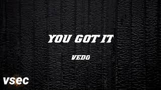 You Got It - Vedo (Lyrics) |vsec|