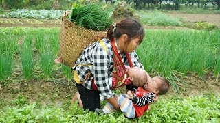 How can a single mother maintain the lives of two children? - Harvest spring onion to sell