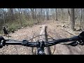 Lake Nockamixon ~ Log Feature