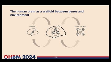 OHBM 2024 | Educational Course | Precision surface imaging of the cerebral cortex | Part 8