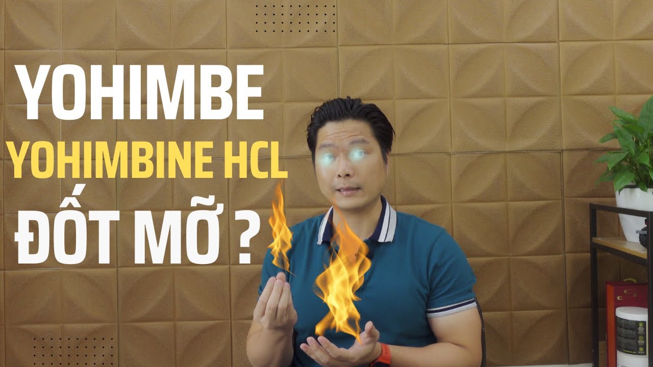 Yohimbe giảm mỡ bụng dưới ? Phân tích tác dụng thực sự ! YouTube